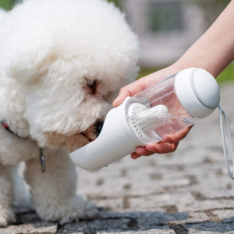 Puppy Cute Dog Water Bottle