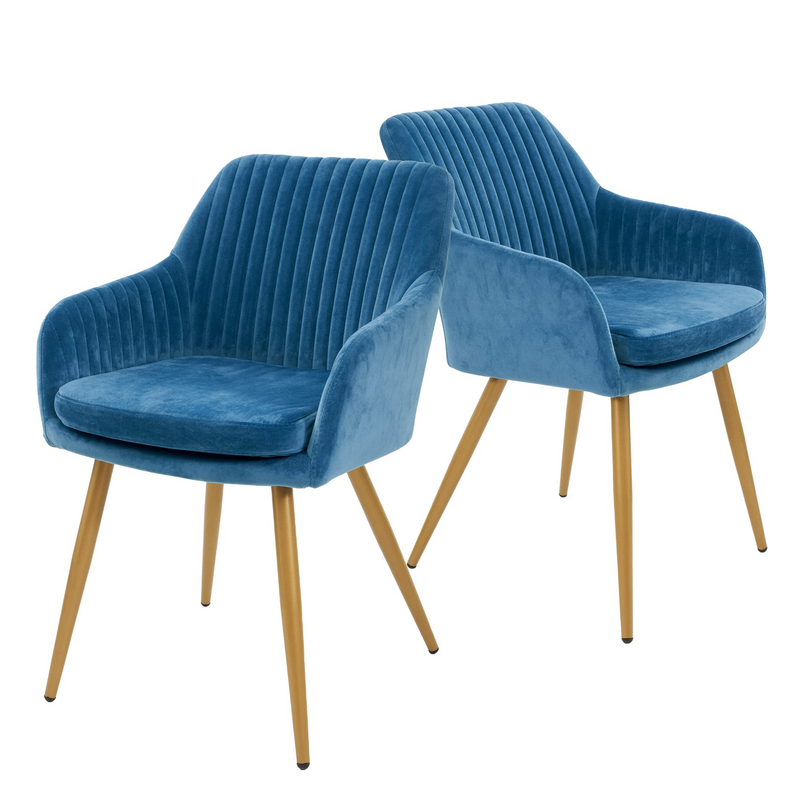 Velvet Accent Chairs Set of 2,  Upholstered Dining Chairs for Living Room, Dining Room, Bedroom