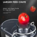 Wheatgrass Centrifugal Juicer, 3'' Feed Chute, Dual Speed Juicer, Non-drip Function, Easy to Clean