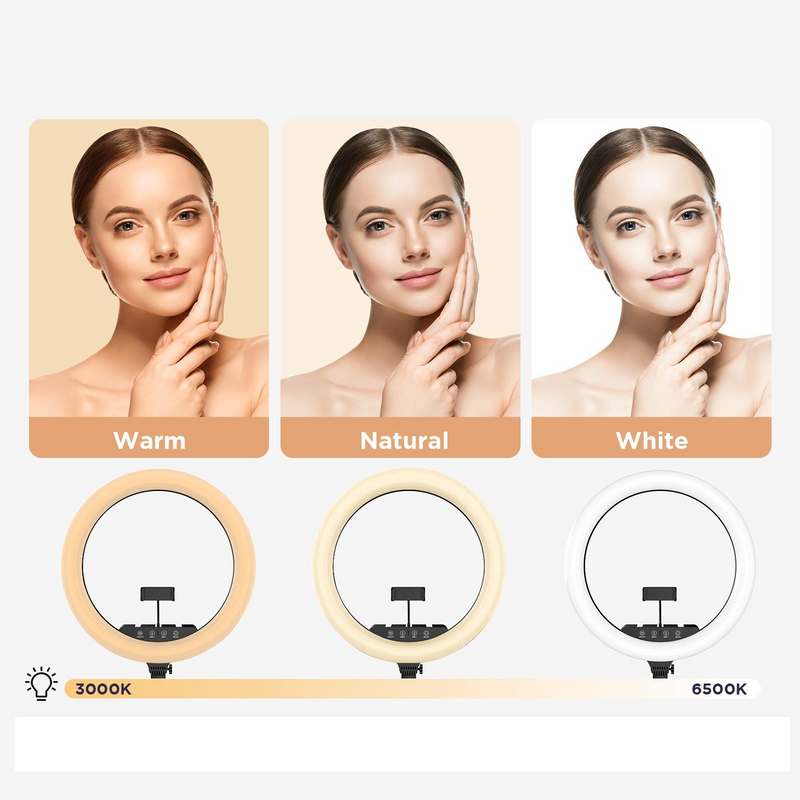 18 inch Ring Light with Tripod Stand & Phone Holder