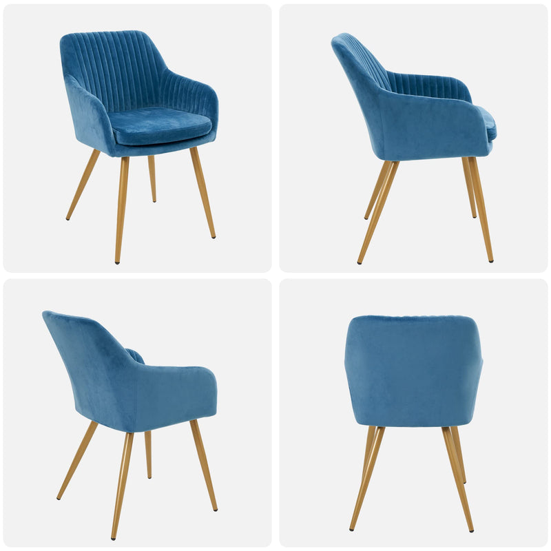 Velvet Accent Chairs Set of 2,  Upholstered Dining Chairs for Living Room, Dining Room, Bedroom