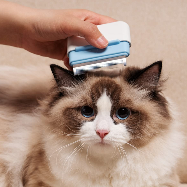 PUPPYCUTE Cat Comb Brush