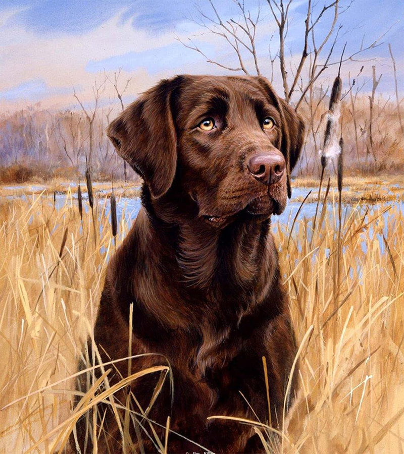 DIY Painting by Number Kits, Animal Series with Frame Canvas for Adults/Kids/Beginners, Dog Series 16×20 Inch Digital Drawing, Paintwork with Paint-Brushes for Wall Art Decor