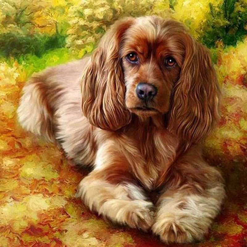 DIY Painting by Number Kits, Animal Series with Frame Canvas for Adults/Kids/Beginners, Dog Series 16×20 Inch Digital Drawing, Paintwork with Paint-Brushes for Wall Art Decor