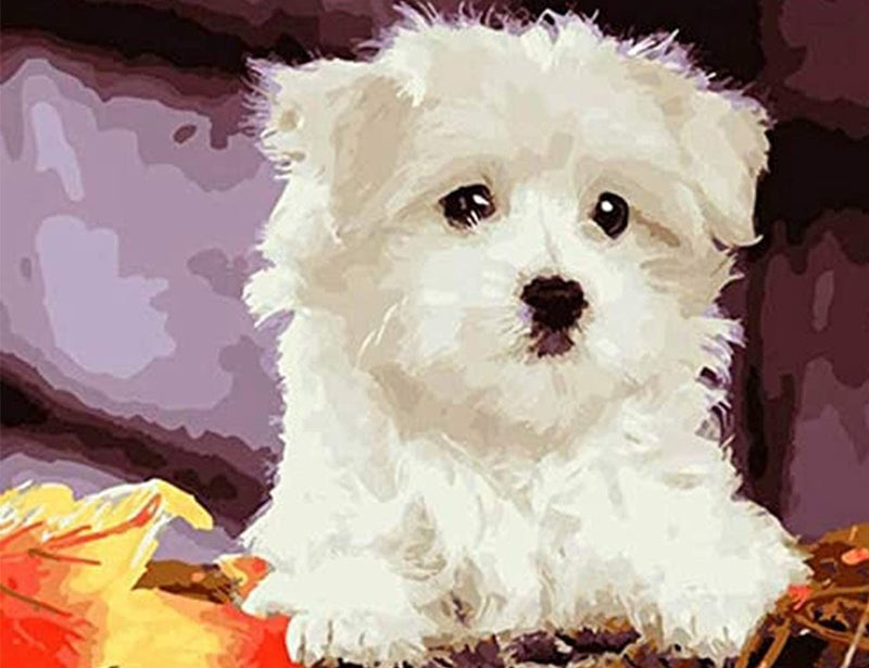DIY Painting by Number Kits, Animal Series with Frame Canvas for Adults/Kids/Beginners, Dog Series 16×20 Inch Digital Drawing, Paintwork with Paint-Brushes for Wall Art Decor