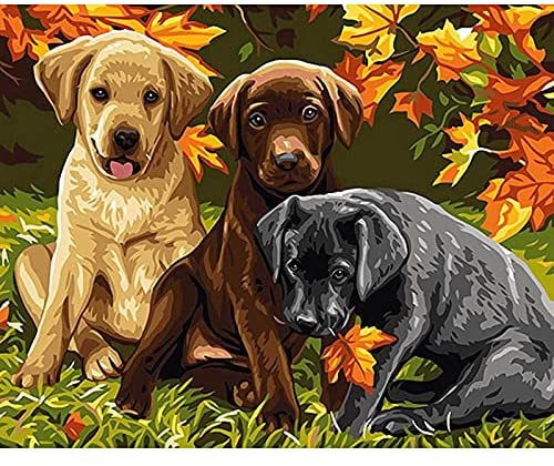 DIY Painting by Number Kits, Animal Series with Frame Canvas for Adults/Kids/Beginners, Dog Series 16×20 Inch Digital Drawing, Paintwork with Paint-Brushes for Wall Art Decor