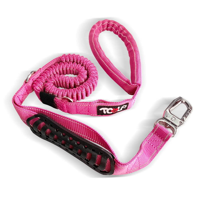 Heavy Duty Dog Leash Stretchy Bungee Multifunctional Solid D-Shape Clasp Pet Leash with Car Seat Belt and 2 Padded Traffic Handle for Large Dog