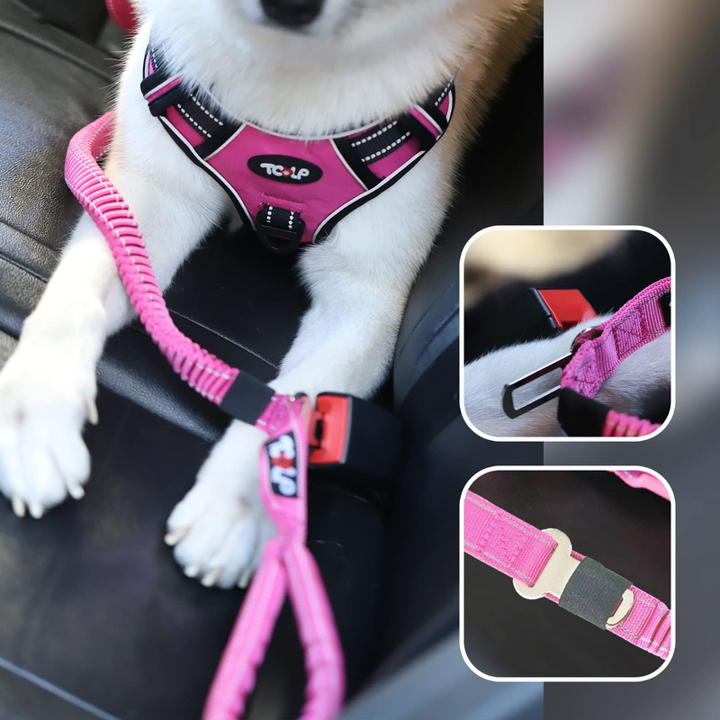 Heavy Duty Dog Leash Stretchy Bungee Multifunctional Solid D-Shape Clasp Pet Leash with Car Seat Belt and 2 Padded Traffic Handle for Large Dog