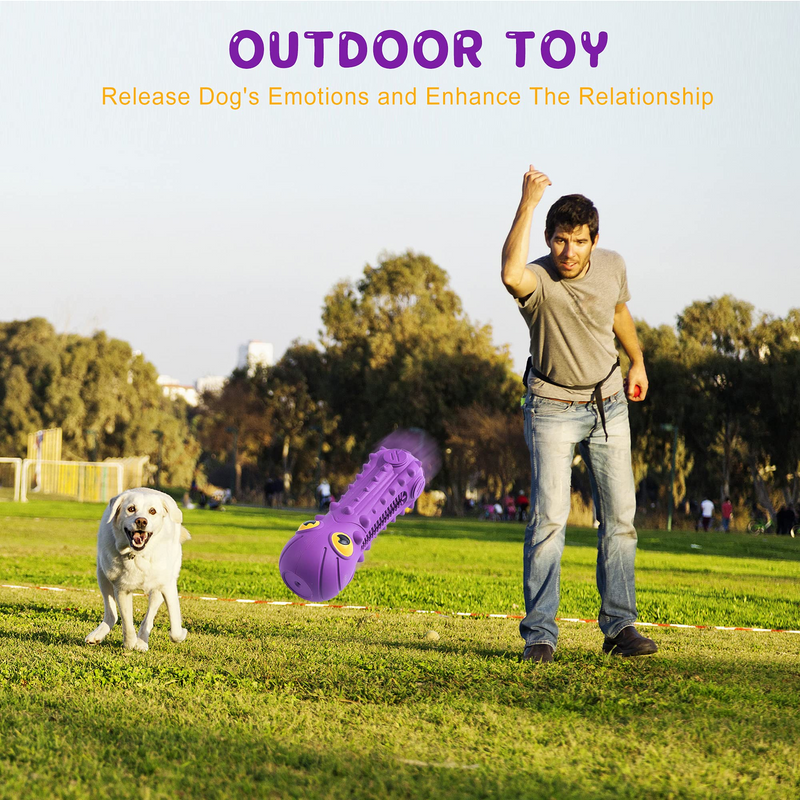 Dog Toys,Chew Toy Made from Non-Toxic Nylon and Durable Natural Rubber